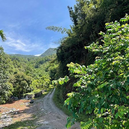 Felila Hostel & Tours Ha Giang Bagian luar foto
